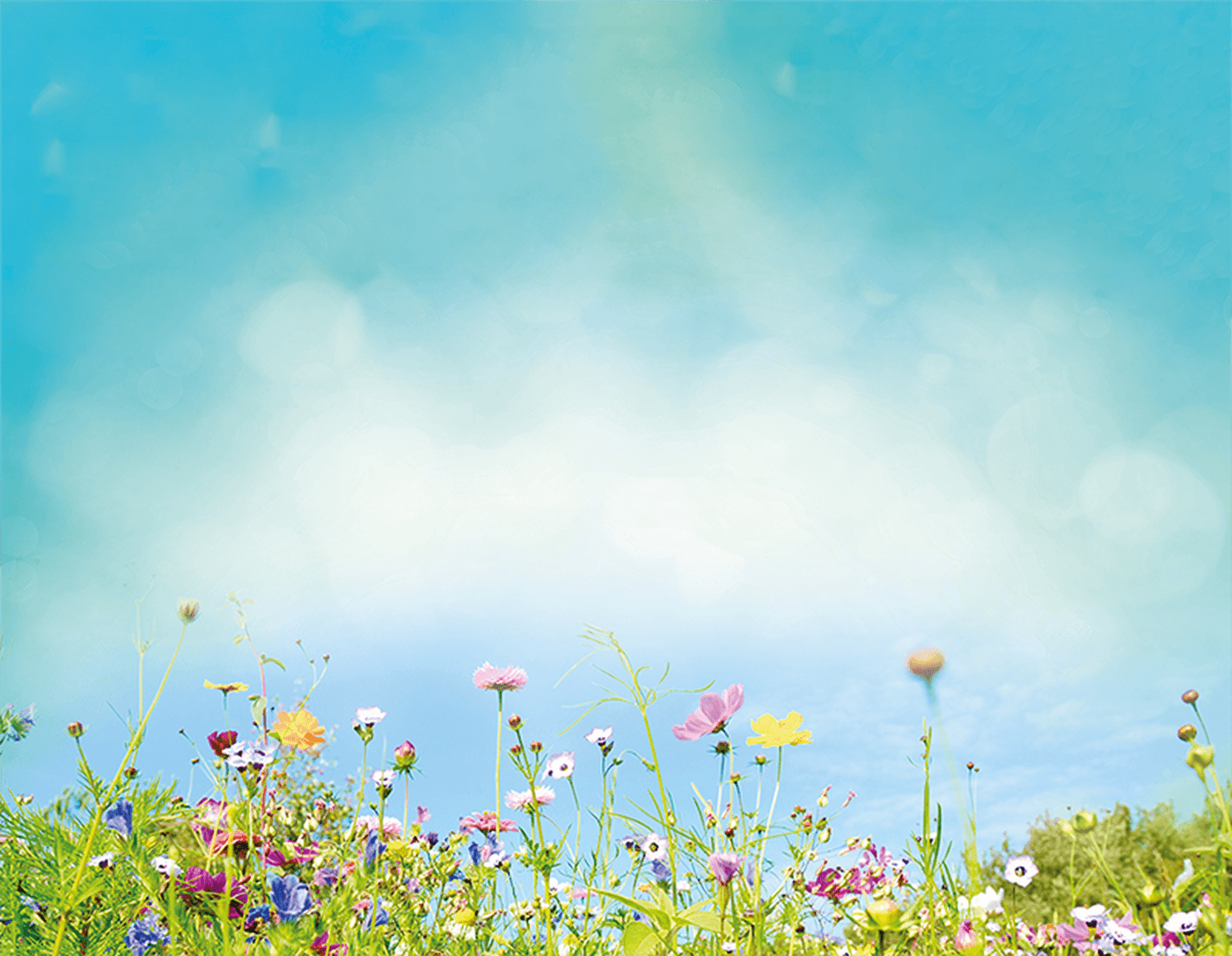 A blue sky with clouds and a row of wildflowers along the bottom